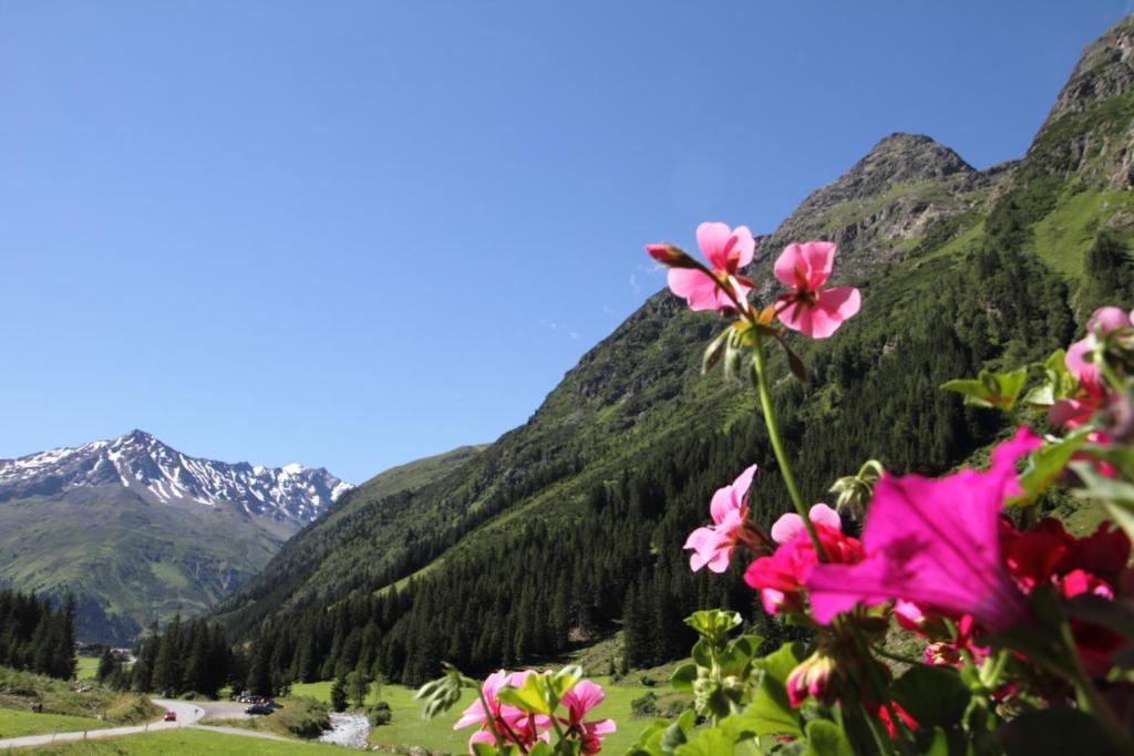 Haus Elisabeth Hotel Sankt Leonhard im Pitztal Værelse billede